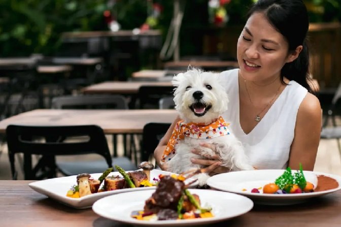 Unveiling Singapore’s Canine Haven: Dog-Friendly Cafes Where Paws Meet Palates